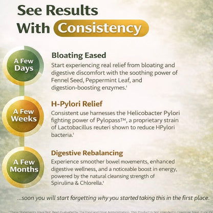 Bloombiotic Gut Health & Digestive Support  60 Capsules