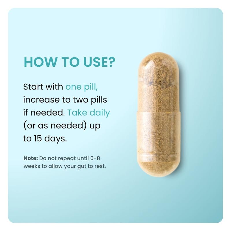 Bloombiotic Gut Health & Digestive Support  60 Capsules